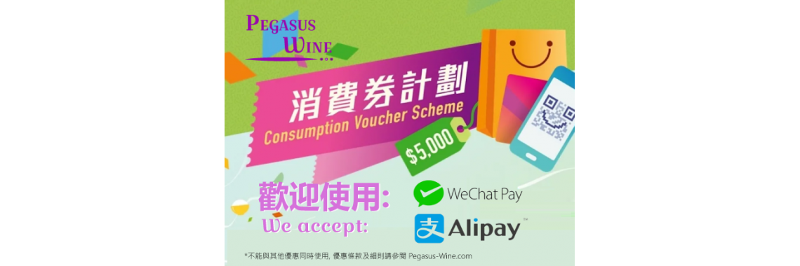 Consumption Voucher Scheme